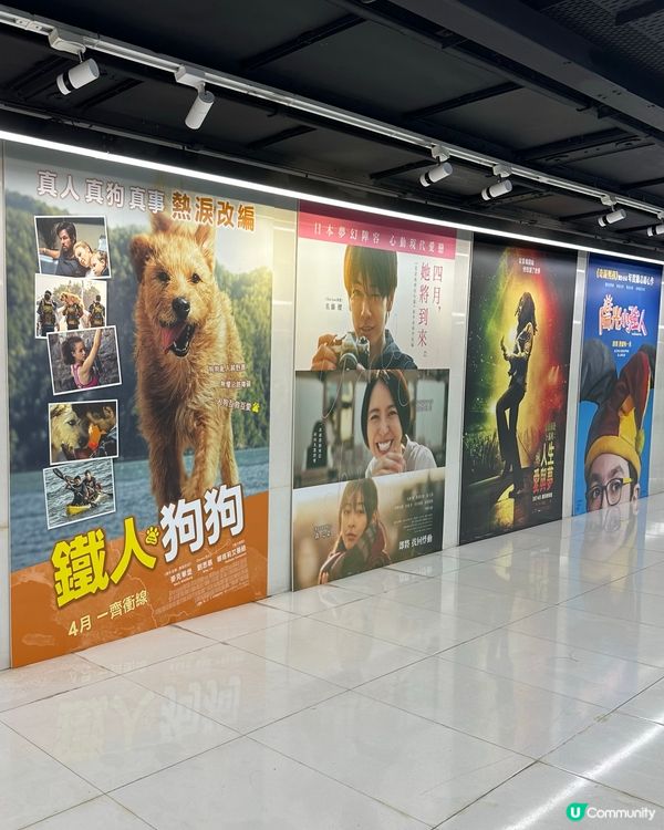 《 鐵人狗狗 》