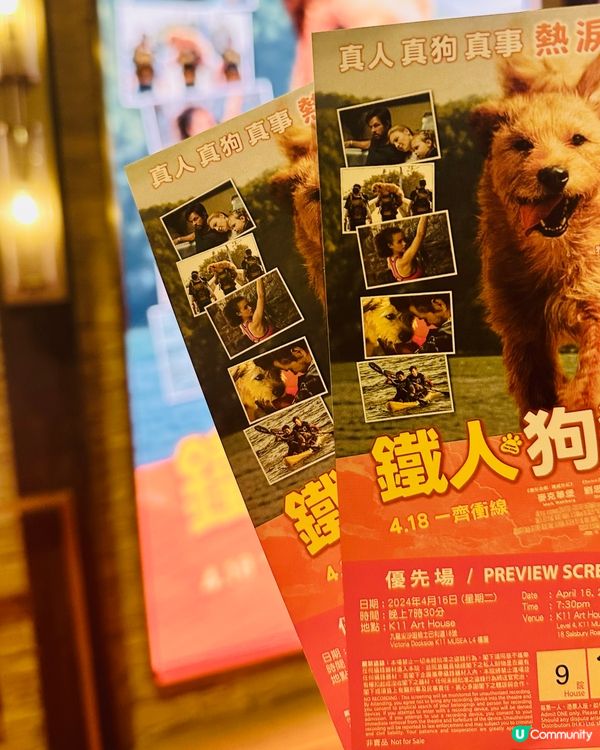 《 鐵人狗狗 》