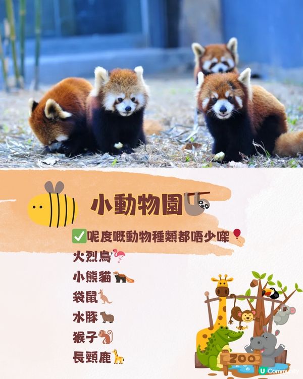 深圳東部華僑城 ⛰️大俠谷遊玩攻略🗺️ 附交通教學🚗（詳情見圖）