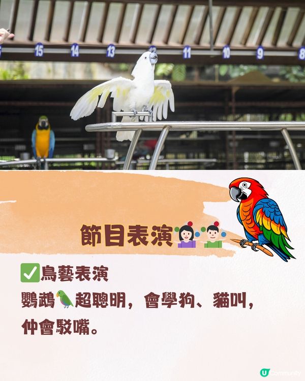 深圳東部華僑城 ⛰️大俠谷遊玩攻略🗺️ 附交通教學🚗（詳情見圖）