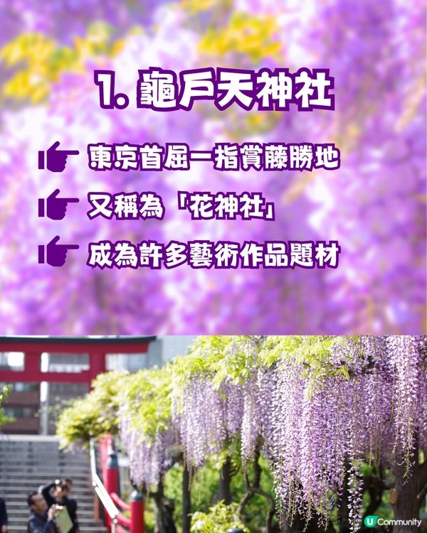 夢幻紫藤花御守合集💜呢款仲拎過設計獎😳‼️附詳細地址