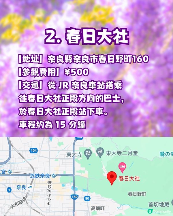 夢幻紫藤花御守合集💜呢款仲拎過設計獎😳‼️附詳細地址