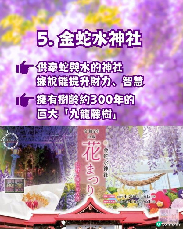 夢幻紫藤花御守合集💜呢款仲拎過設計獎😳‼️附詳細地址