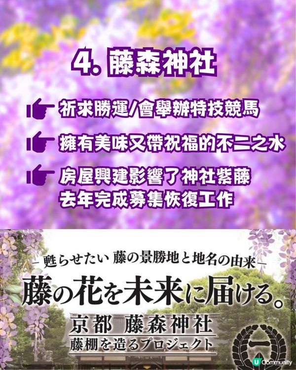 夢幻紫藤花御守合集💜呢款仲拎過設計獎😳‼️附詳細地址