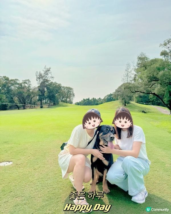 粉嶺哥爾夫球場狗狗打卡熱點