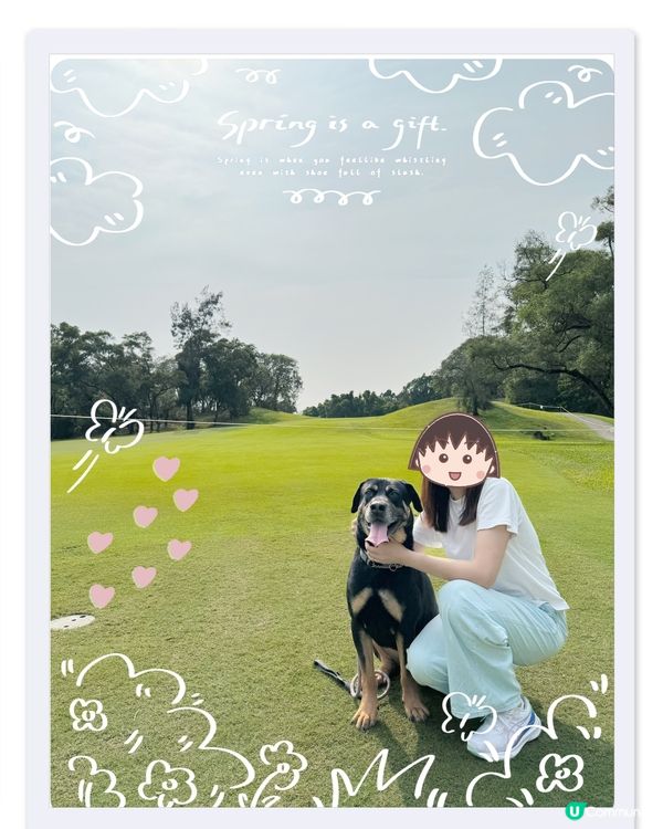 粉嶺哥爾夫球場狗狗打卡熱點