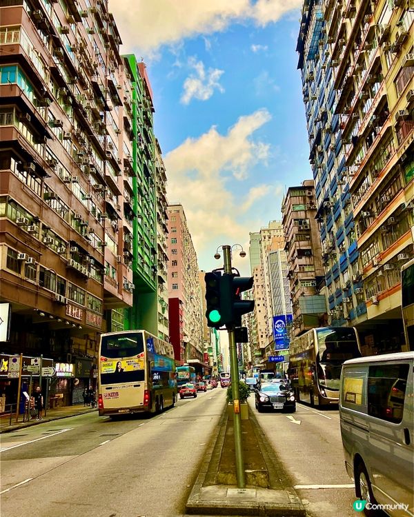 香港～-可屎森林