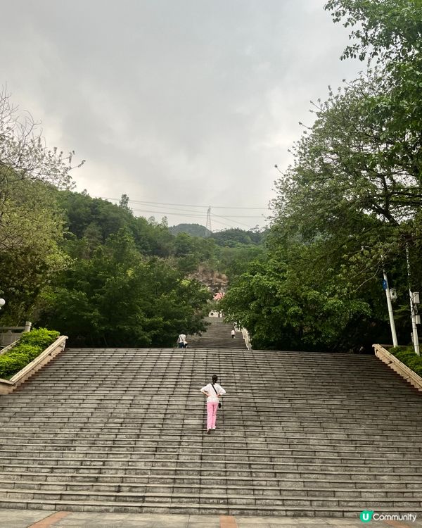 Fresh Ecosystem Garden