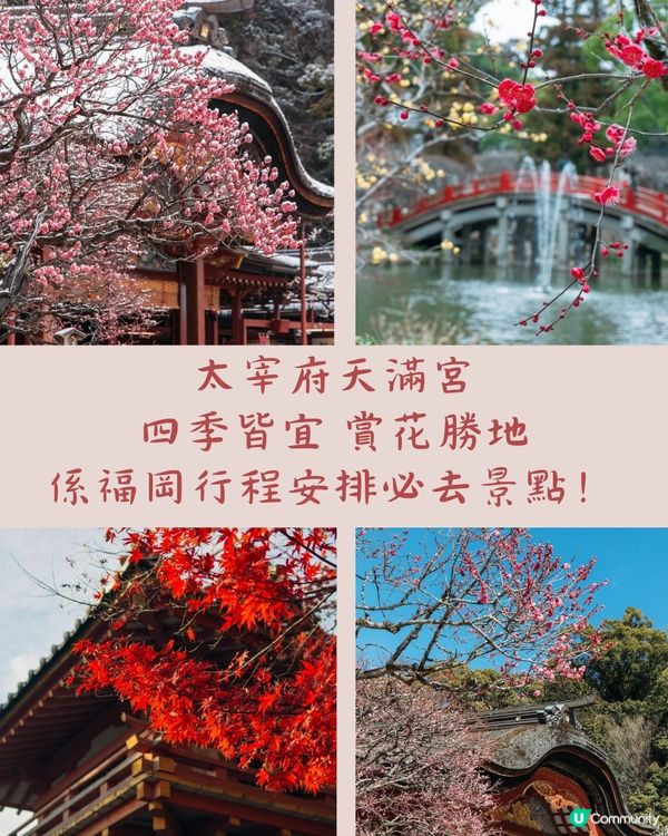 福岡太宰府天滿宮1日遊行程☀️近郊必去!附餐廳+交通資訊