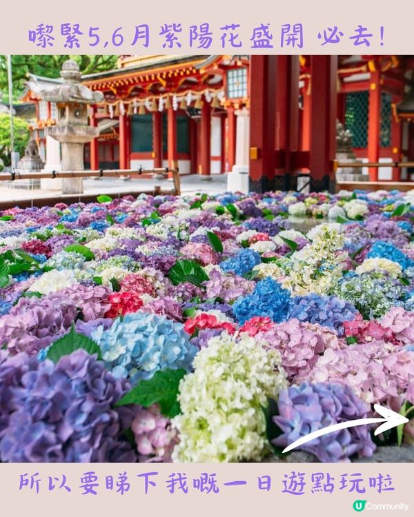 福岡太宰府天滿宮1日遊行程☀️近郊必去!附餐廳+交通資訊