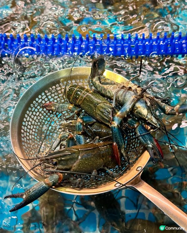 深圳超人氣活海鮮 x 烤榴蓮自助餐