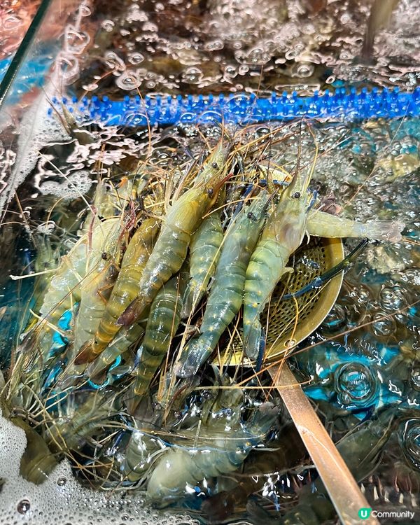 深圳超人氣活海鮮 x 烤榴蓮自助餐