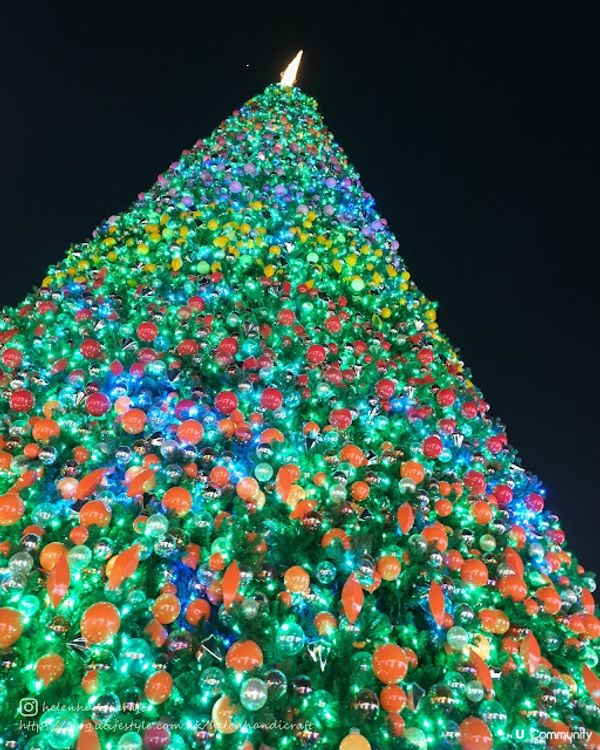 【旅遊香港】西九聖誕樹配日落美景 - 西九龍文化區