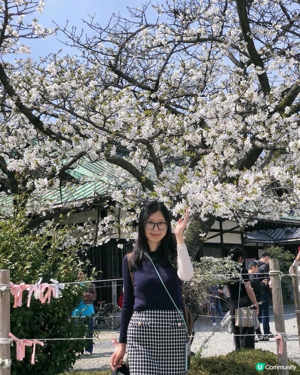 大阪城公園賞櫻-附大阪城免排隊詳盡攻略