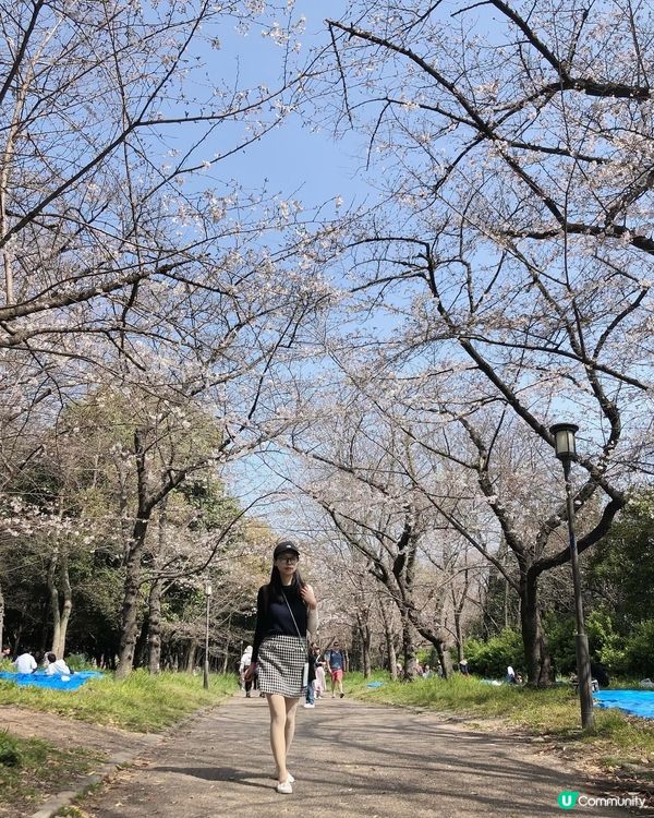 大阪城公園賞櫻-附大阪城免排隊詳盡攻略