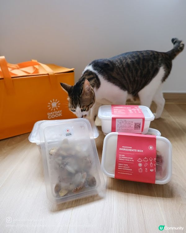 【吃下煮家飯】附優惠碼: 靚餸直送到家。日日煮好餸! - Day Day Cook餸菜包