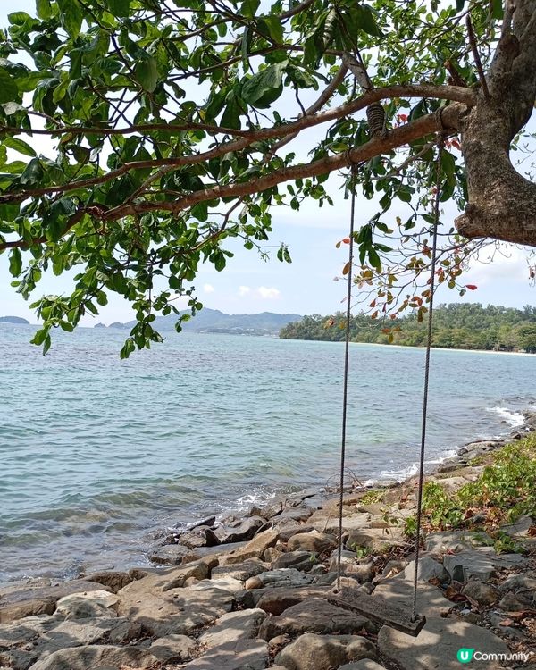 沙巴大學有什麼？