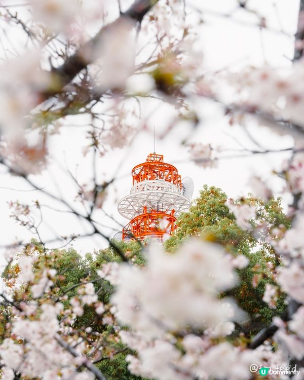 日本三大水城之一：高松城🏯