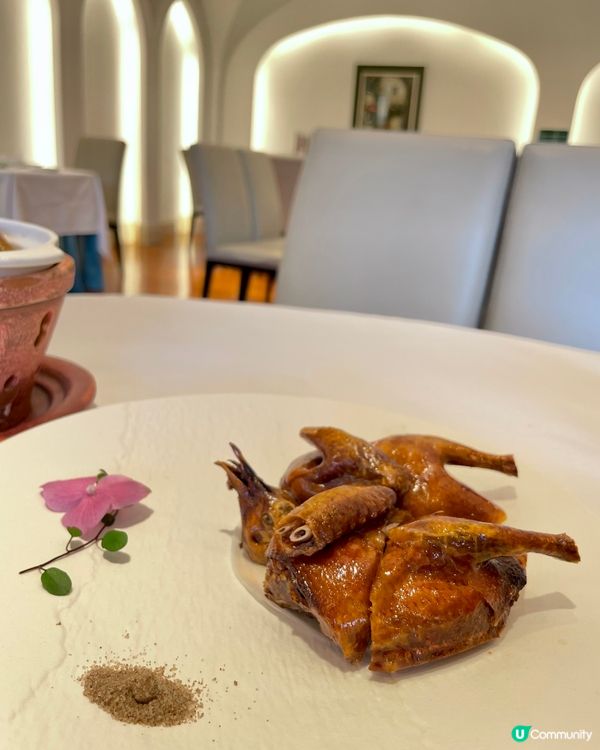 深圳嘆早茶🫖接近三十年的老字號丹桂軒