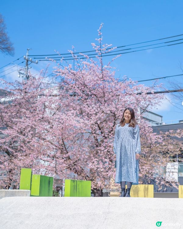 平買高質二手衫！800yen起有交易