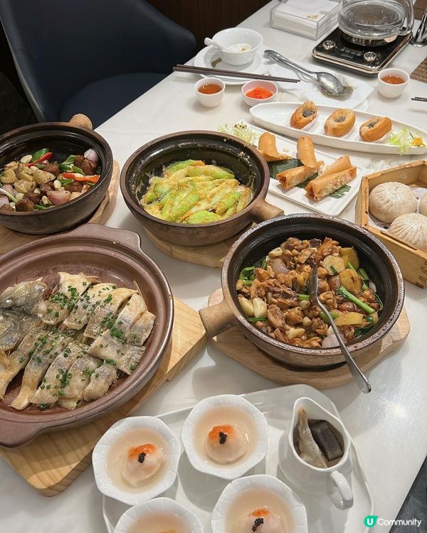 北上深圳飲茶好去處