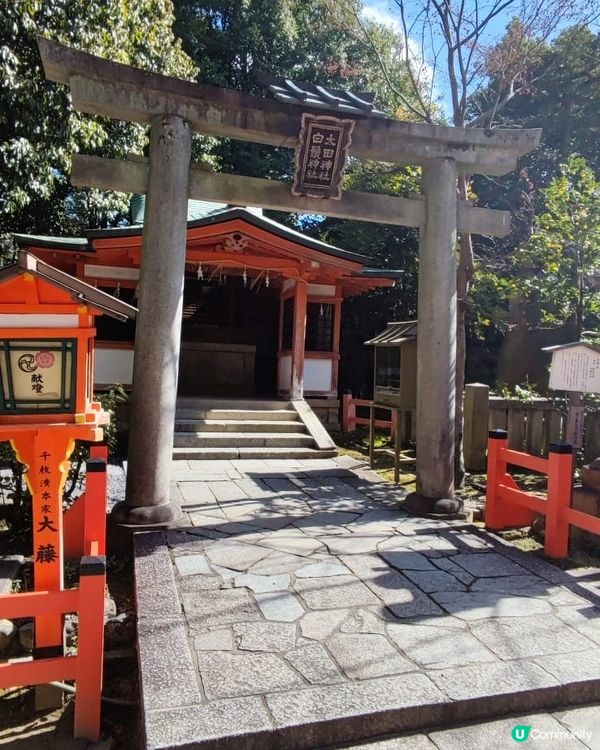 獨遊日本關西八天七夜