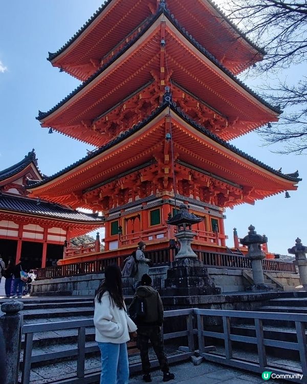 獨遊日本關西八天七夜