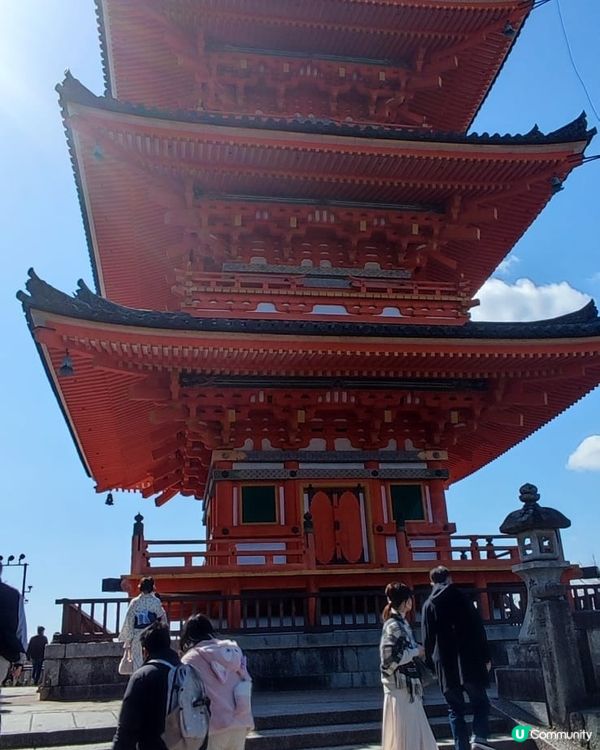 獨遊日本關西八天七夜