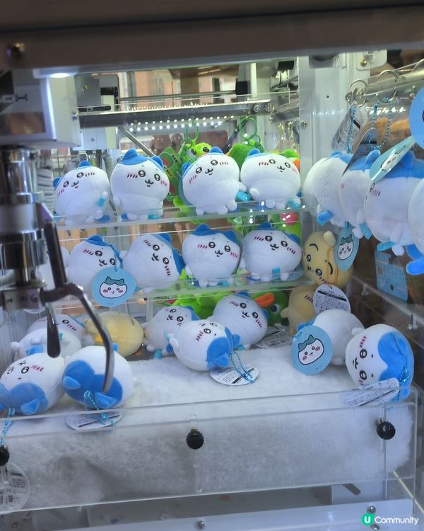 深圳MINISO探索chiikawa之旅