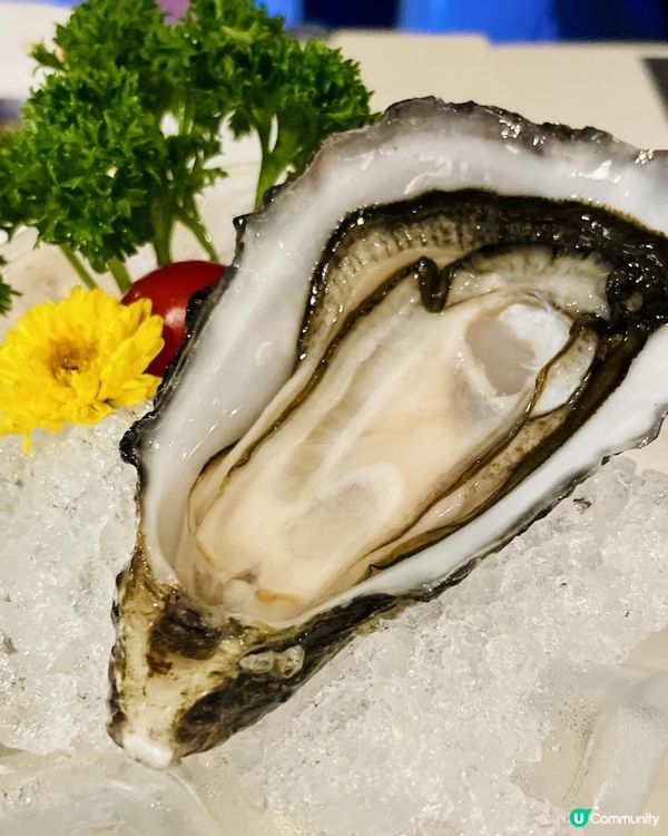 尖沙咀抵食蠔吧