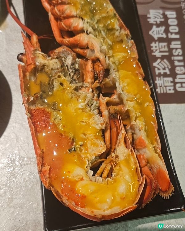 龍蝦任食仲有龍蝦雞煲