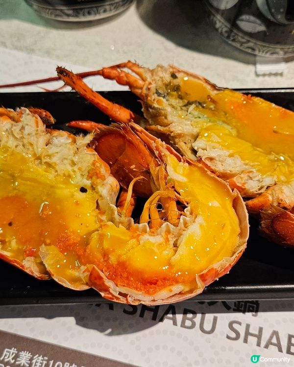 龍蝦任食仲有龍蝦雞煲