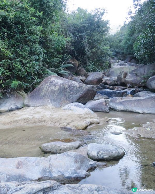 屯門絕美水塘簡易行山路線