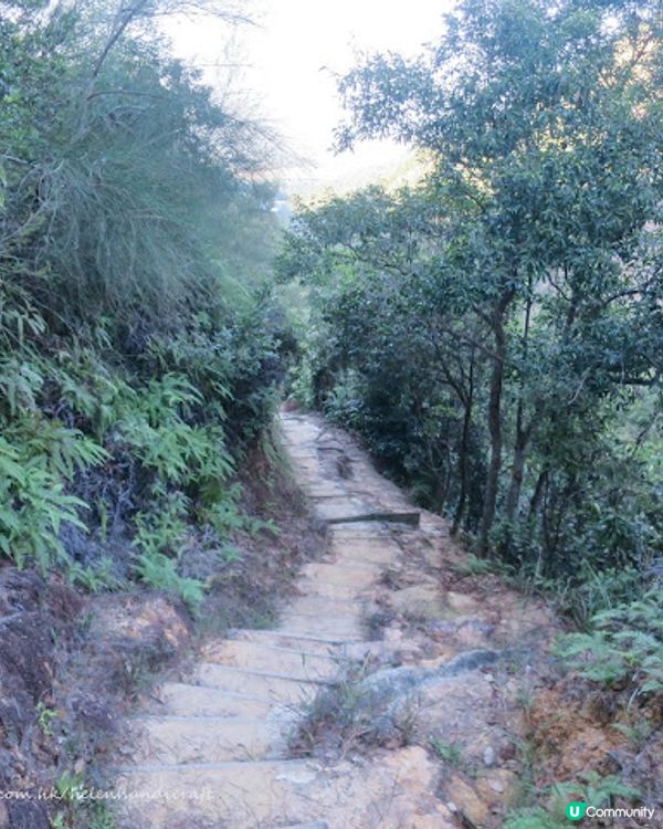 屯門絕美水塘簡易行山路線