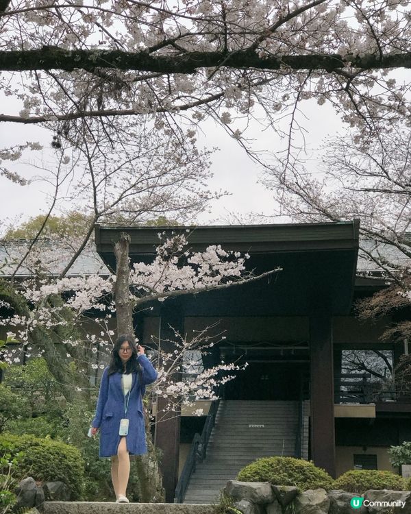 京都賞櫻賞楓名所-石清水八幡宮詳盡攻略