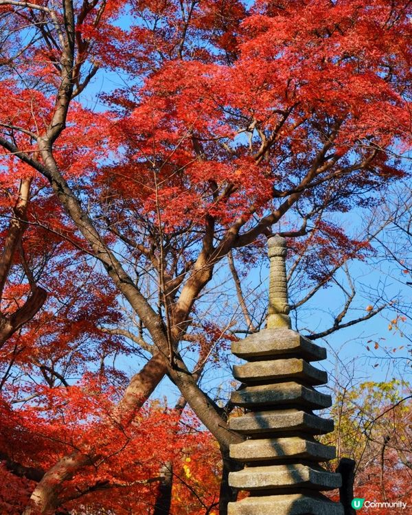 京都賞櫻賞楓名所-石清水八幡宮詳盡攻略