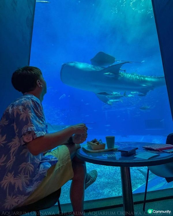 沖繩美麗海水族館 Okinawa Churaumi Aquarium