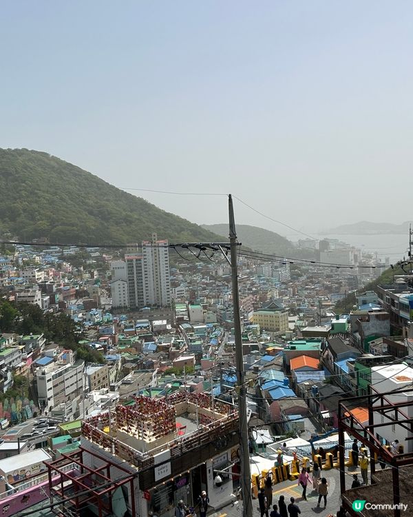 釜山自由行（甘川洞文化村）