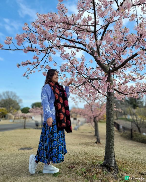 淡路島國營明石海峽公園🤗