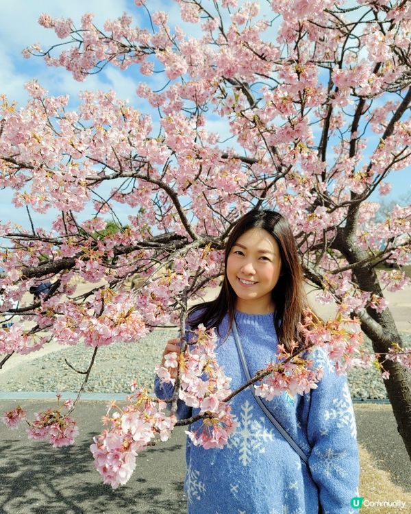淡路島國營明石海峽公園🤗