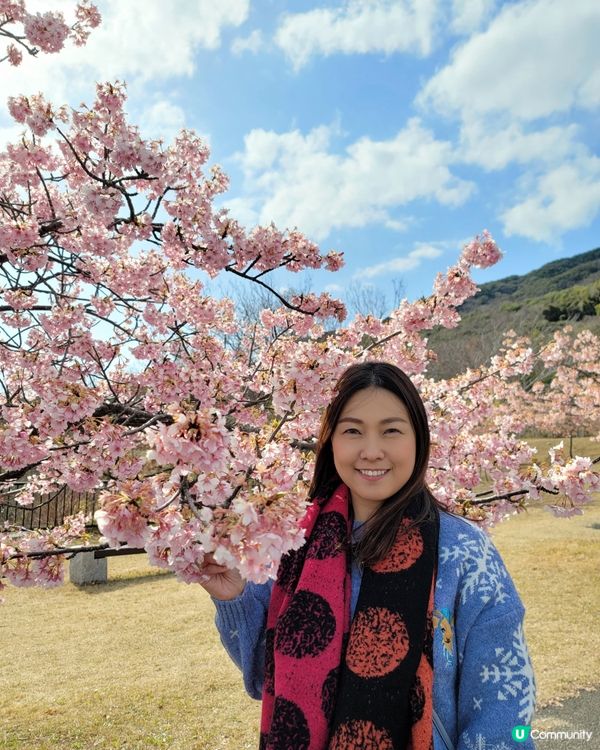 淡路島國營明石海峽公園🤗