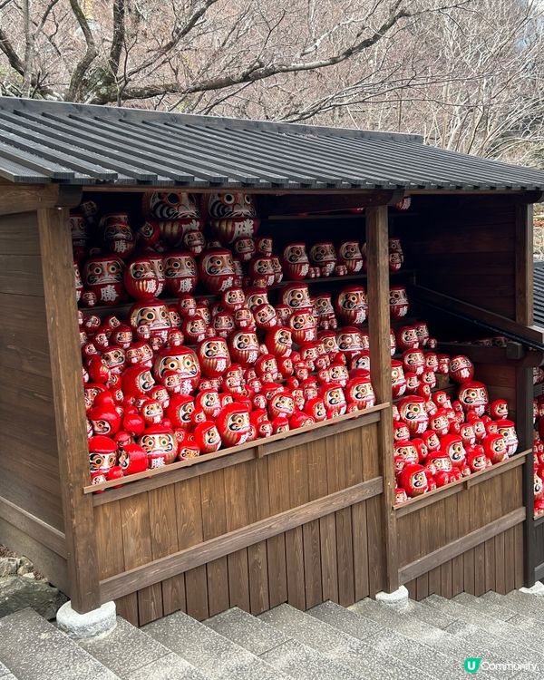 大阪自由行2024~勝尾寺