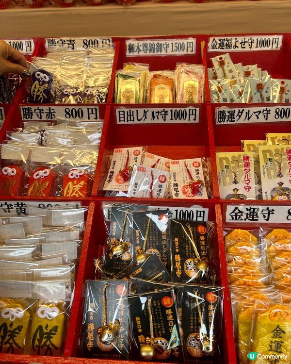 大阪自由行2024~勝尾寺