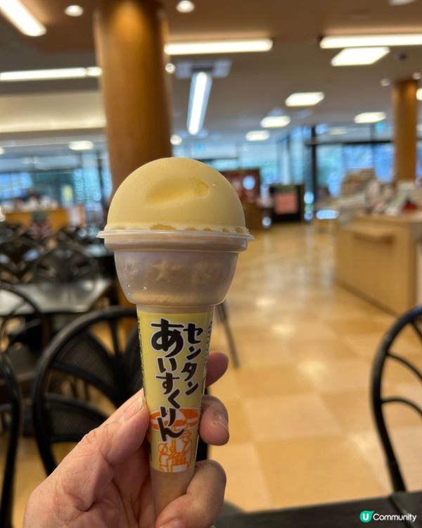 大阪自由行2024~勝尾寺