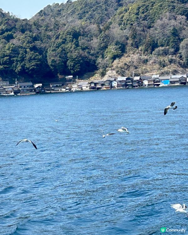 大阪自由行2024～伊根