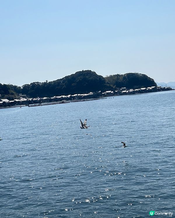 大阪自由行2024～伊根