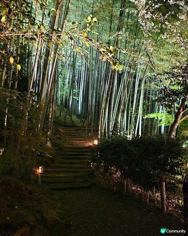 京都高台寺夜間特別參拜