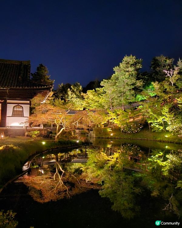 京都高台寺夜間特別參拜