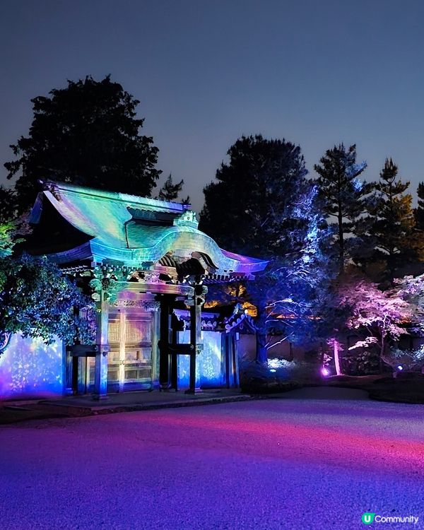 京都高台寺夜間特別參拜