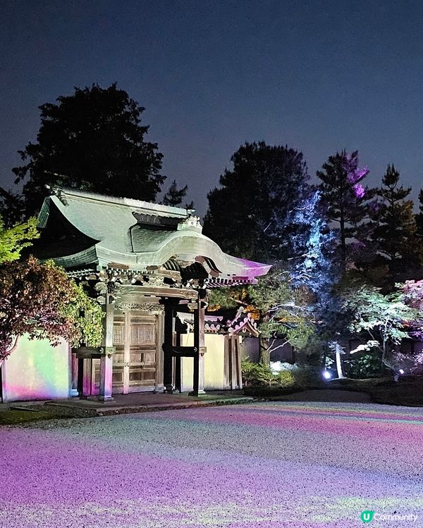 京都高台寺夜間特別參拜